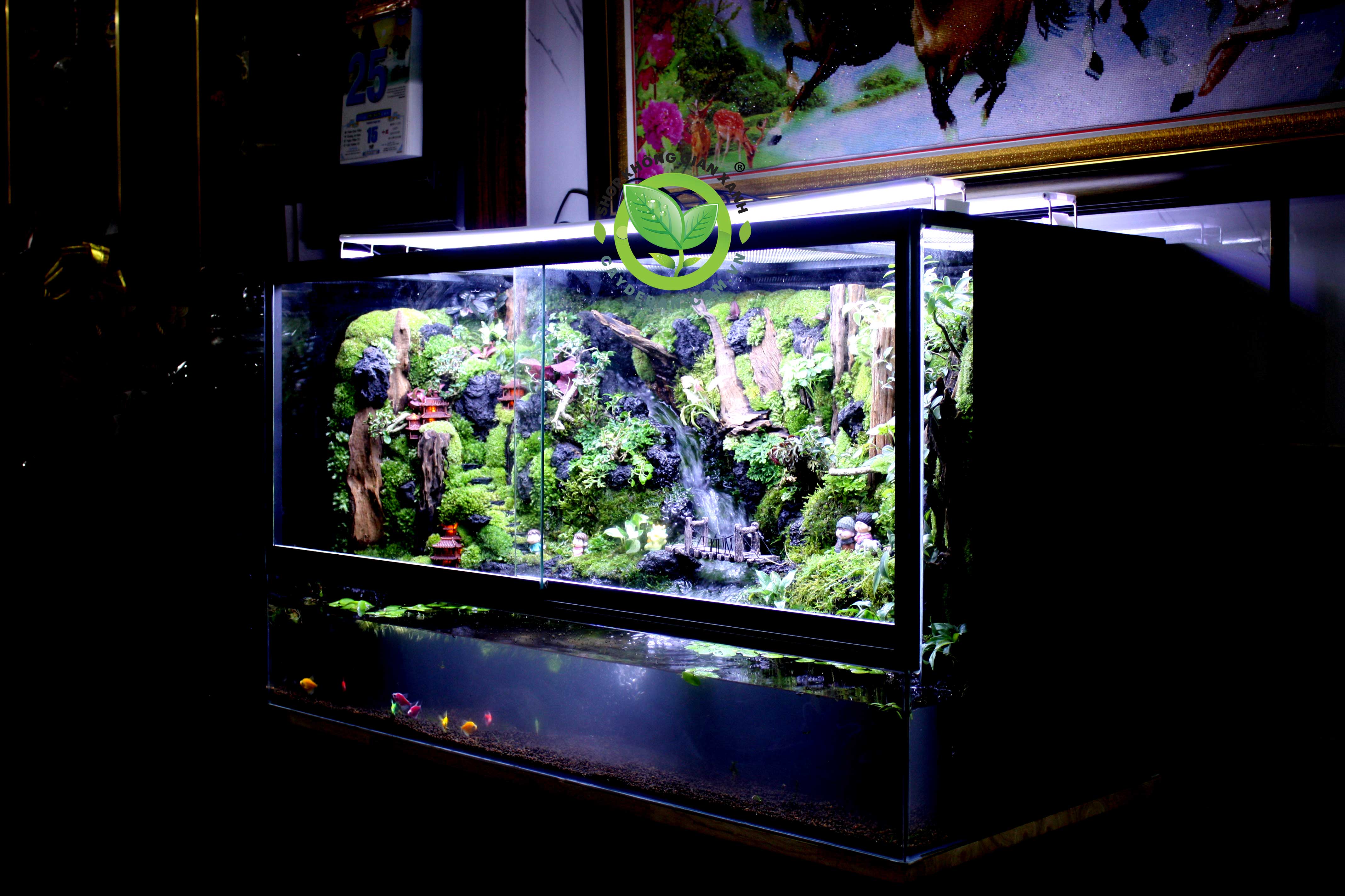Paludarium - Home in Forest-108